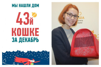 Мы нашли человека, готового сделать кошку Динку счастливой!