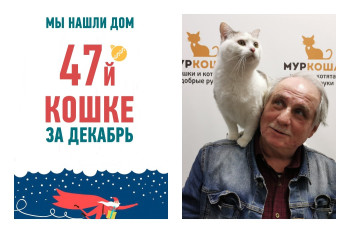 Провожаем в домашнюю жизнь кошку Агаву!
