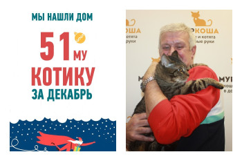 Спустя два месяца в приюте кот Дуни стал домашним!