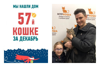 Меньше, чем за два месяца, Варюша стала домашней!