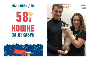 Трехлетняя Метель поймала удачу за хвост!