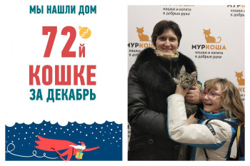 Пятимесячная Жуля встретит новый год в кругу семьи!