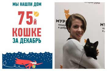 Шестимесячная Самба тоже получила счастливый авиабилет в Швейцарию!