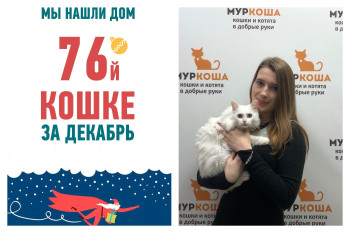Новый год красавица Лилия встретит дома!