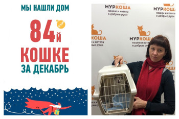 Вторая попытка на счастье у красавицы Даниэлы!