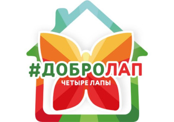 Спасибо "Добролапу" и Вам, друзья, за огромное количество подарков!