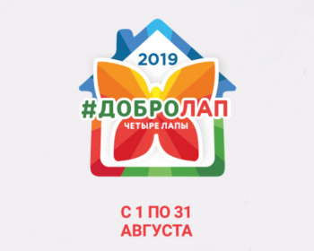 Спасибо, что приняли участие в благотворительной акции "Добролап 2019"