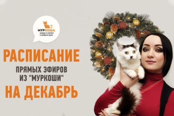 Мы переходим на новый график эфиров!