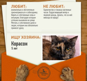 5-летняя Корасон не перестает надеяться на счастье!