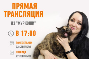 Новые трансляции 23 и 27 сентября