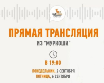 6 сентября смотрите трансляцию из приюта "Муркоша"
