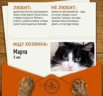 Наша Марточка неустанно ждёт своего человека!