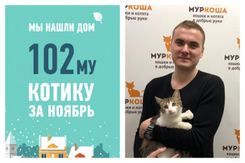 Отправляется домой вместе с новым хозяином кот Любимчик!