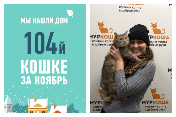 Спустя месяц в приюте у кошки Инаны появилась хозяйка!