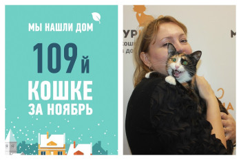 Провожаем в домашнюю жизнь красавицу Осинку!