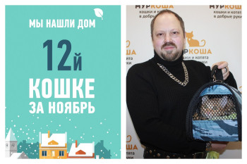 Сиеста встретила свое счастье!