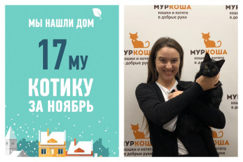 Всего за полтора месяца обрел хозяйку солидный Клен!