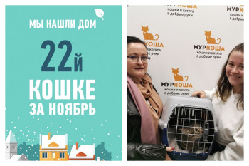 Особенной Телле все-таки улыбнулась удача!