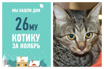 Петров становится еще одним выпускником "Муркоши"!