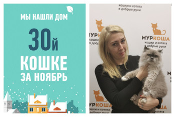 Двенадцатилетняя Масандра обрела дом меньше чем за месяц!