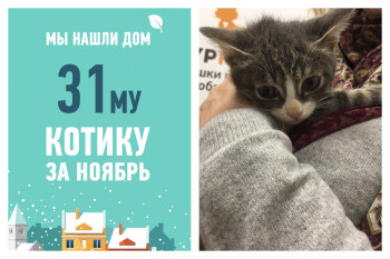 Крошка Белощекий встретил свою маму менее, чем за месяц!