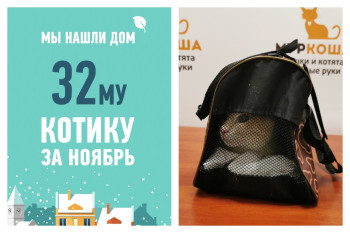 Трехлетний Десанж уехал жить к тому, кто спас ему жизнь!