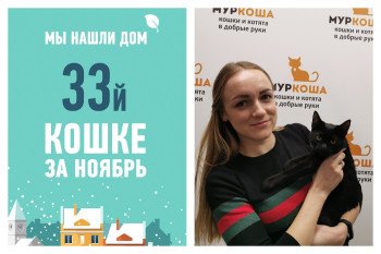 Провожаем домой очаровательную Мексику!