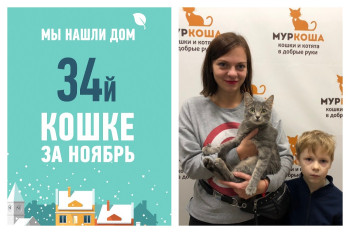 Красавица Мюсля, найденная на улице, стала домашней!