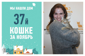 Пятимесячная Бали обрела хозяйку, ура!