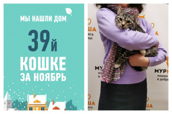 Шестимесячная Долька и ее счастливая история!