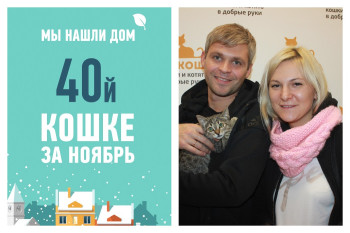 Очаровательная юная кошечка Гео отправляется в новый дом!