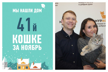 Трехлетняя Туська обрела дом всего за неделю!