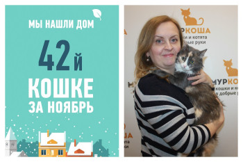 Пестрая красавица Гвинет снова дома!