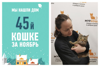 Трехлетняя Минервочка снова дома!