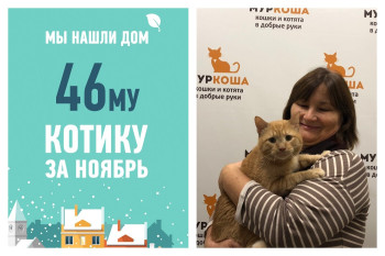 Мы нашли дом для Барсюши всего за полтора месяца!