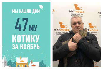 За крохой Умником приехал супер-хозяин!