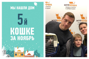 Глашенька получила второй шанс