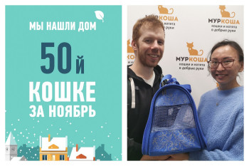 Спустя месяц отправляется в новый дом кошечка Беленькая!