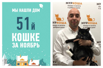 Двухлетняя Мадонна стала домашней!