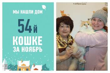 Провожаем домой годовалую Марусю!