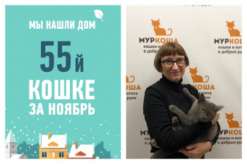 Провожаем Мериду спустя три недели в приюте