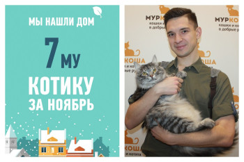 Плюшик получил третий шанс на счастье!