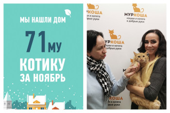 Меньше, чем за два месяца мы помогли Лёвочке стать домашним!
