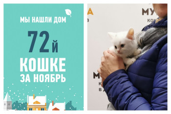 Мы помогли крошке Рапсодии стать домашней всего за десять дней!