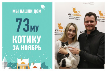 Спустя месяц в приюте в новый дом отправляется котик Дружище!