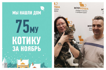 Котик Усман рад познакомить вас с своей новой семьей!