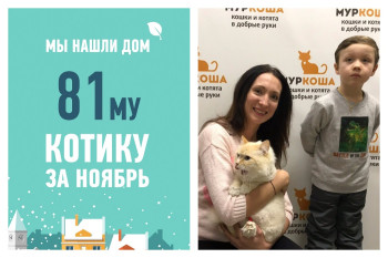 У Мистера Дарси появились любящие хозяева!