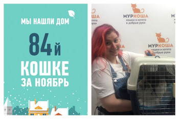 Годовалая Августина уезжает в царские покои!