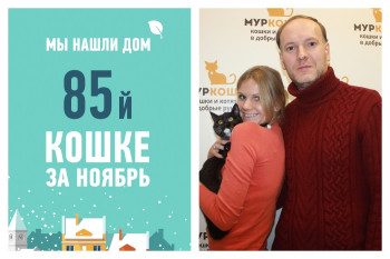 Полугодовалая Глиссада отправляется практиковать свои навыки летчика в новый дом!
