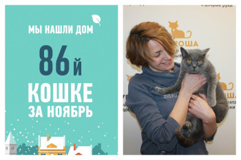 Двухлетняя Эфи стала домашней любимицей меньше, чем за месяц!